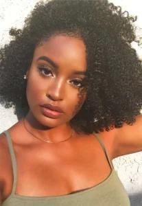 Afro Curl Curly Clip in Human Hair Extensions