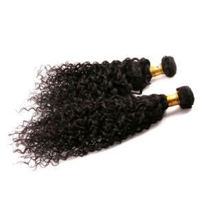 Kinky Curly Unprocessed Virgin Remy Brazilian Human Hair Weave