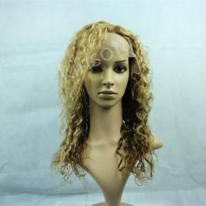 Curly Wigs, 100% Human Hair Front Lace Wigs