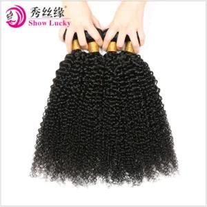 Large Stock Natural Kinky Curly 10A Remy Virgin Filipino Human Hair