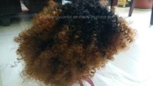 Afro Curly Synthentic Hair Wig for African Girl