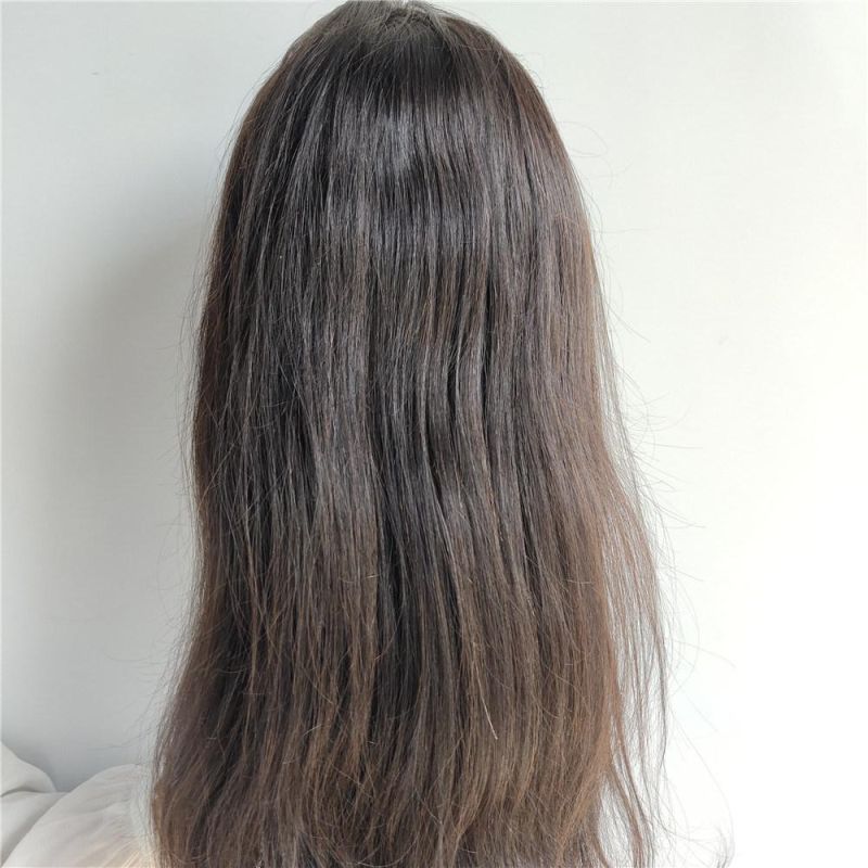 Wholesale Full Cuticle Aligned Brazilian Straight Remy Hair 13*4 Frontal Lace Wig