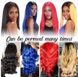 100% Straight Colourful Wigs Human Virgin Hair Supplier Full Lace Wig/Lace Front Wig