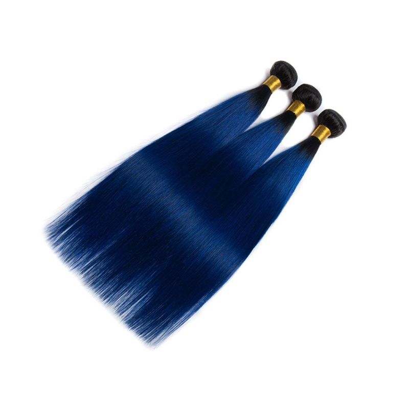 Straight Ombre Hair Bundles with Closure Blue Brazilian Human Hair Weave Bundles with Closure Remy Hair