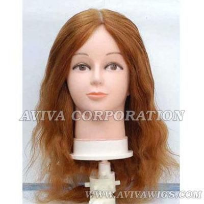Human Hair Training Head (AV-TH010)