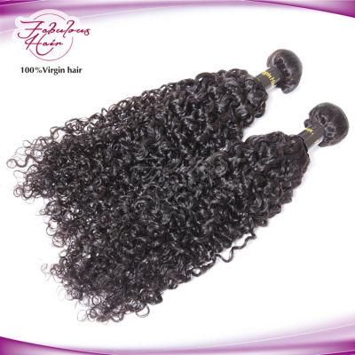 Popular Styles Curly Natural Color Raw Unprocessed Virgin Indian Hair