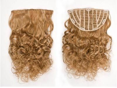 Clip in Half Wig Hairpieces Virgin Hair Clip on Hair Extensions (AV-HW00-25)