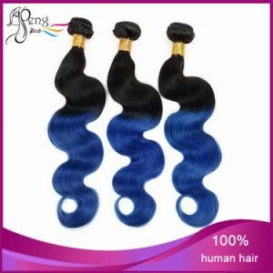 Virgin Brazilian Body Wave Two Tone Ombre Hair Extension