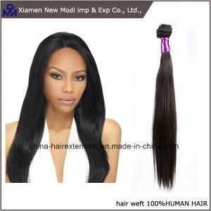 Wholesale Cheap Human Hair Hair Weave