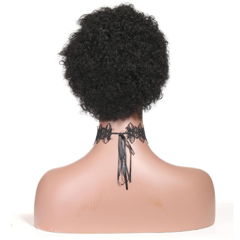 Short Curly Human Hair Wigs Brazilian Virgin Afro Kinky Curly Wig