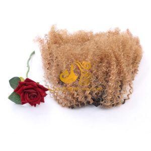 B27 Strawberry Blonde Afro Curly 4b4a 8&quot;-26&quot; Remy Human Brazilian Hair in Stock