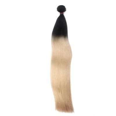 T-Color Human Hair Extension