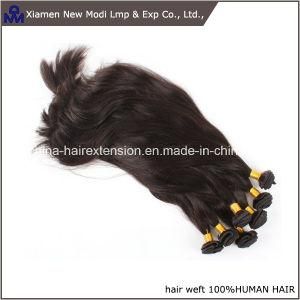 Straight Hair Weft Brazilian Human Hair