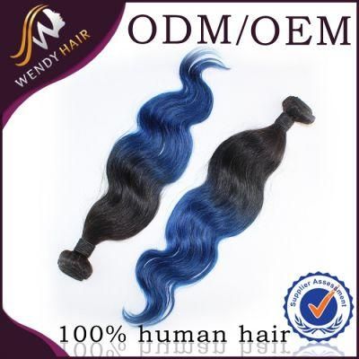 Ombre Color High Sell Rare Brazilian Body Wave