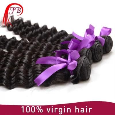 Mongolian Virgin 100% Human Deep Wave Hair