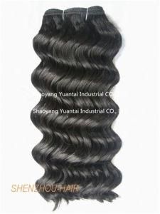Hot Selling Wet and Wavy Virgin Chinese/Indian/Brazilian Hair Weft Extension
