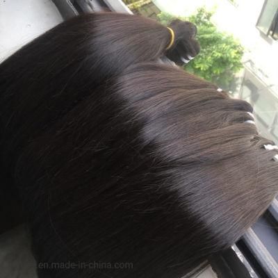 Free Sample Raw Virgin Cuticle Aligned Hair, Virgin Indian Human Hair Extension, Raw Indian Cuticle Aligned Human Hair From India