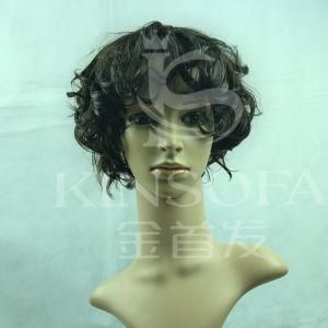 100 % Human Hair Wigs