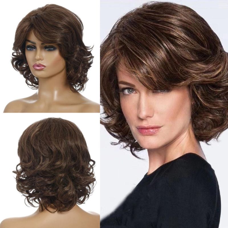 Natural Hairline Women Heat-Resistant Wigs Short Hair Synthetic Wig Fluffy Curly Wave Wig for Black and White Women