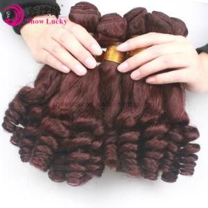 China Factory Directly Supply New Texture Grade 9A Wholesale Price Brazilian Virgin Hair Extensions Colored Red Human Fumi Hair