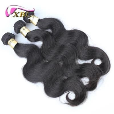 Guangzhou Xbl Hot Sale Grade 9A Indian Remy Hair