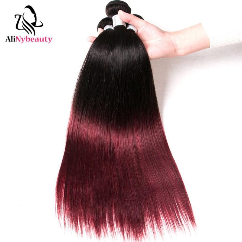 Straight Brazilian Human Hair Ombre Color 1b 99j Wholesale