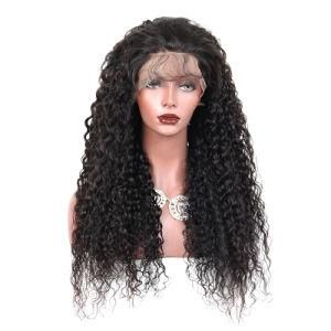 Brazilian Raw Virgin Cuticle Aligned Remy Human Hair Wigs