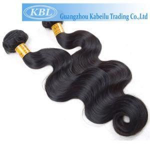 6A Grade Yaki Bob Long Wavy Ombre Human Hair Wig