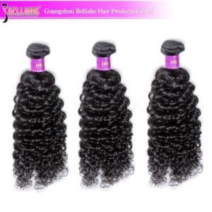 Popular Kinky Curly Virgin Hair Brazilian Human Hair Weave