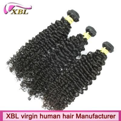 Experienced Human Hair Factory Brazilian Curly Hair