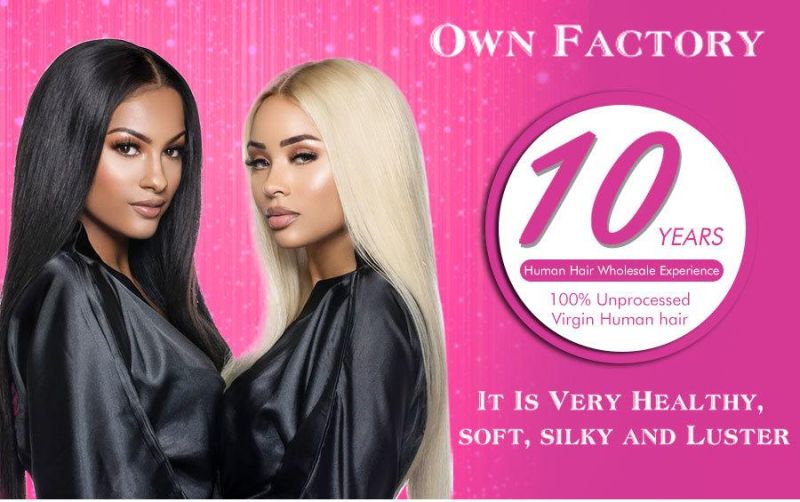 Angelbella Wholesale Cuticle Aligned Virgin Hair Vendors for Black Women Human Hair Bundles with Closure