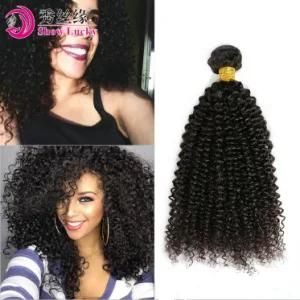 2018 Hot Style Kinky Curly 100% Remy Virgin Raw Filipino Human Hair Weave