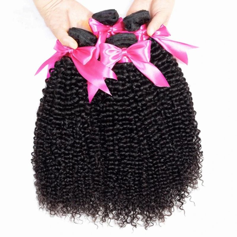 Brazilian Curly Bundles Remy Human Hair Bundles with Closure 3 Bundles with Closure 100% Human Hair Weave Extensions