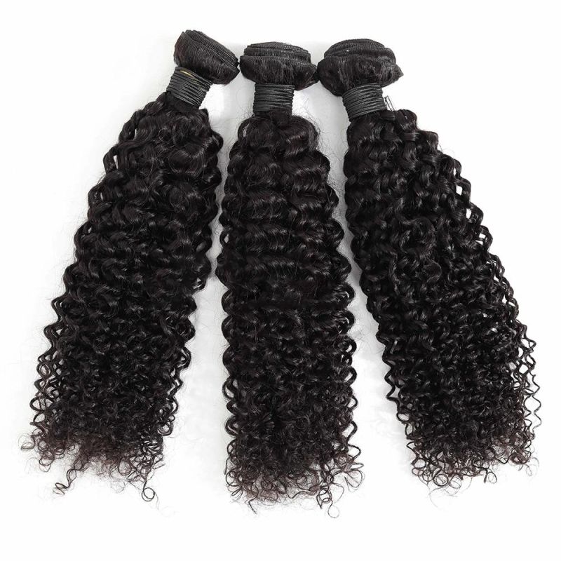Wendyhair Kinky Curly Virgin Weaving Indian Human Hair