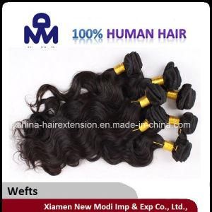 Body Wave Weft Brazilian Human Hair
