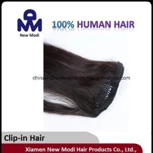 100% Brazilian Virgin Human Clip in Human Hair