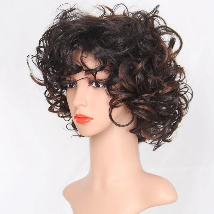 Kakiifahion Hair China Wig Factory Mix Brown Curly Short Synthetic Wig