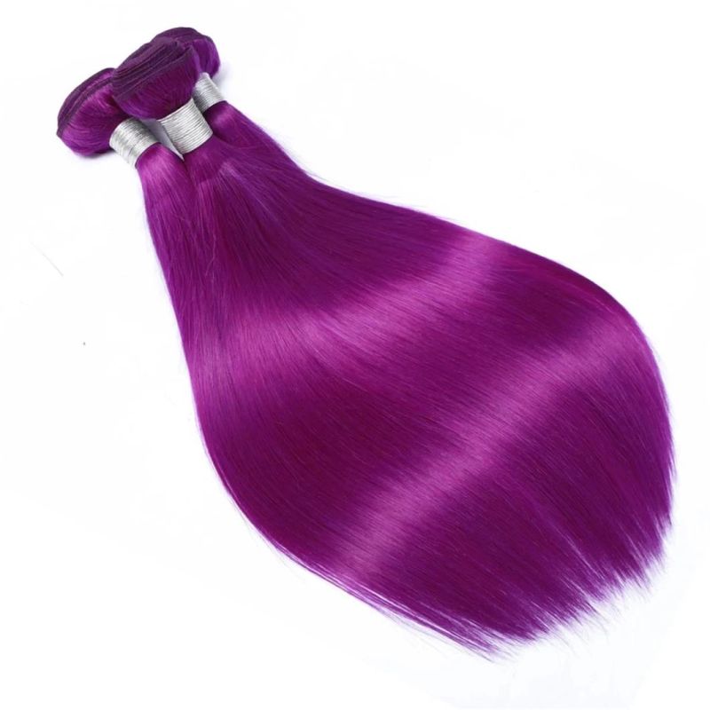 Peruvian Straight Hair Purple Bundles with Closure Colored Human Hair 4*4 Lace Closure with Bundles Remy Hair Extensions