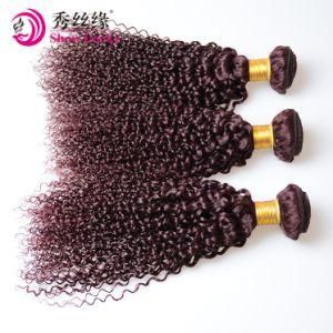 Natural Raw Virgin Malaysian Hair Curly Weave Wholesale Remy Red Malaysia Human Hair