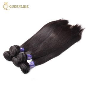 Straight Wholesale Raw Indian Virgin Human Hair Bundles