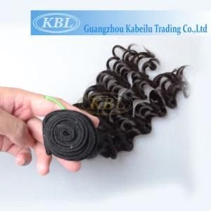 Brazilian 4A Good Quality Human Hair