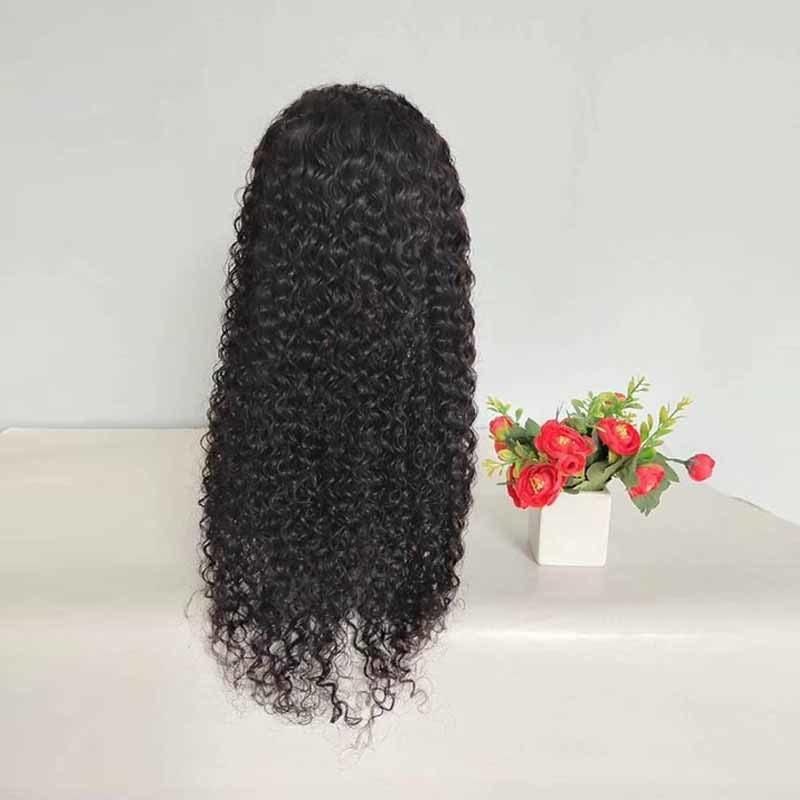 Mink Brazilian Long Curly Human Hair Lace Wig