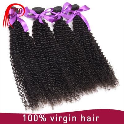 Factory Wholesale Brazilian Afro Kinky Hair Weft 100% Unprocessed Virgin Curly Hair Extension