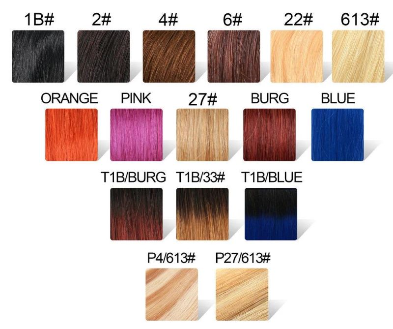 Top Sell Brand Silver Human Hair Extensions Double Drawn Remy Russian Hair Weft