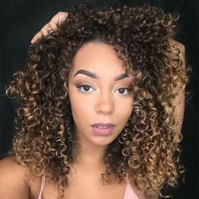 Synthetic Short Afro Curly Wigs Ombre Brown Heat Resistant Fiber Wig for Women