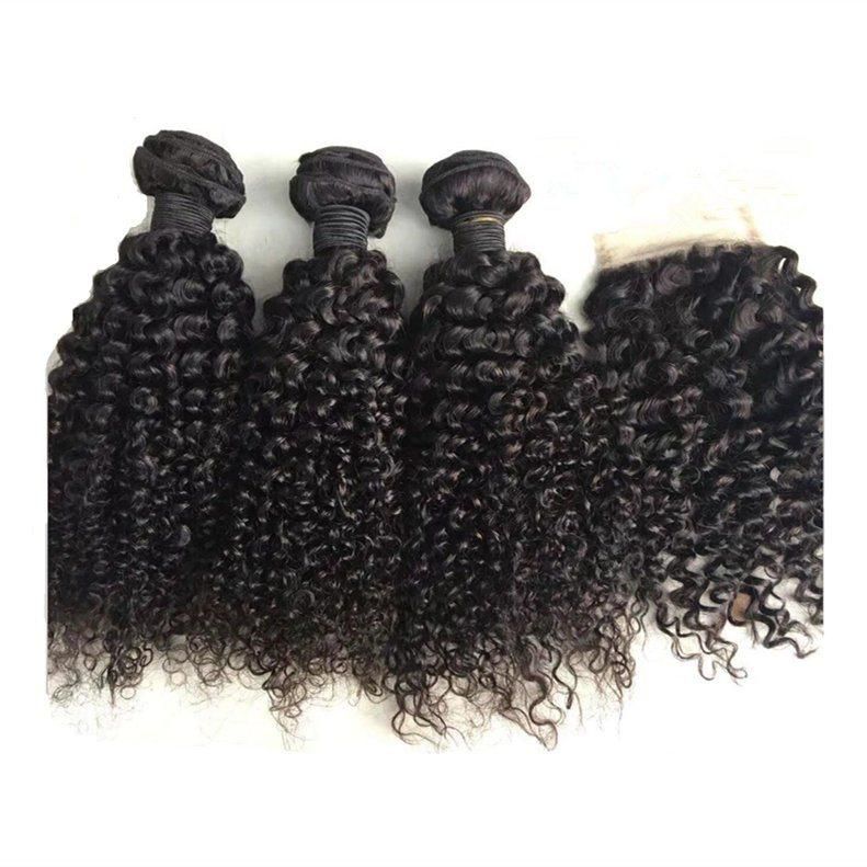 Raw Human Hair Bundles Wet and Wavy Bundles with Closure