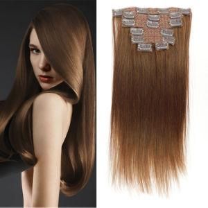 Brazilian Straight 6# Clip-in 100% Human Hair