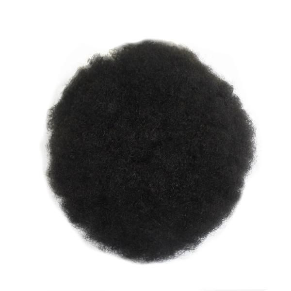 Ljc1820 Afro Curl Natural Human Hair Toupee