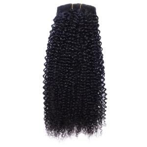 Peruvian Natural Black Afro Curly Kinky Curly 100% Human Clip-in Hair