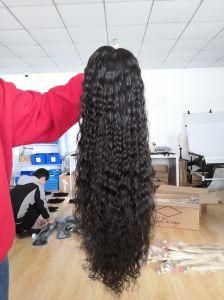 Brazilian 100% Human Hair Lace/Full Lace Wig of Straight Body Wave Deep Wave Curly